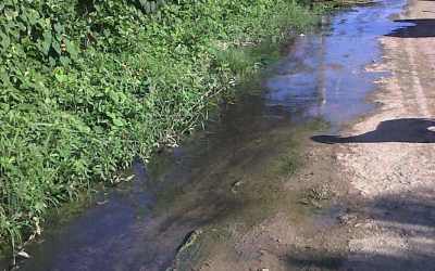 IMG01326-20130121-0931