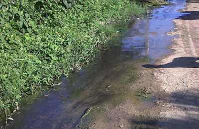 IMG01326-20130121-0931