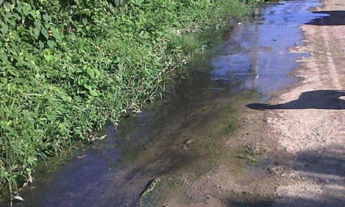 IMG01326-20130121-0931