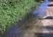 IMG01326-20130121-0931
