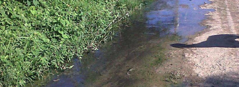 IMG01326-20130121-0931