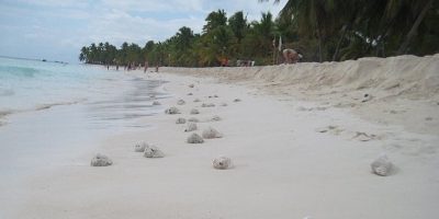 Isla-Saona