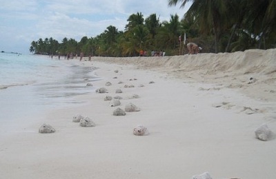 Isla-Saona