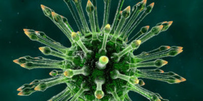 hiv_virus_304x171_bbc_nocredit