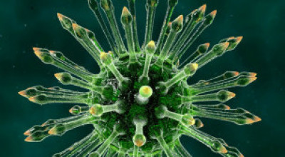 hiv_virus_304x171_bbc_nocredit