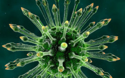 hiv_virus_304x171_bbc_nocredit