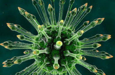 hiv_virus_304x171_bbc_nocredit