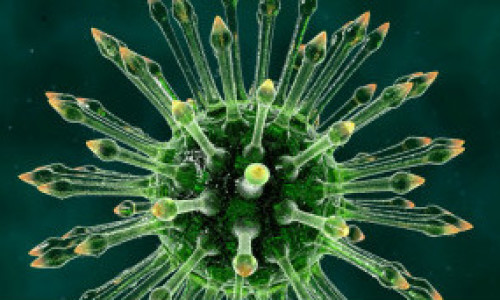 hiv_virus_304x171_bbc_nocredit