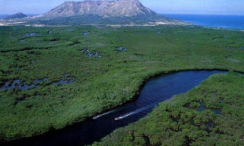 montecristi-pop