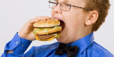 size1_36085_1334640274_junk-food-001