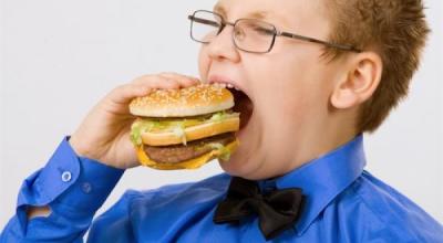 size1_36085_1334640274_junk-food-001