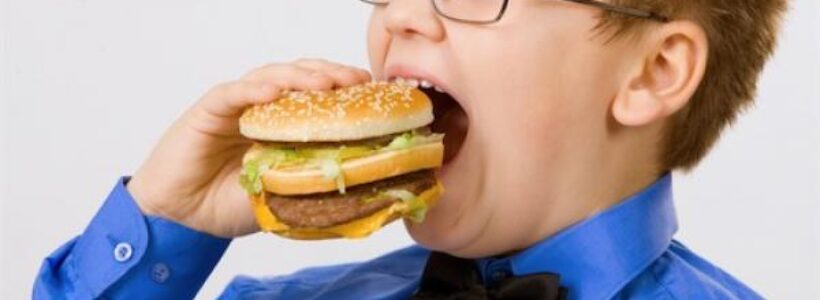 size1_36085_1334640274_junk-food-001