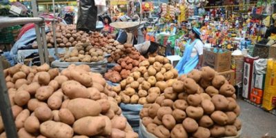Mercado_productores