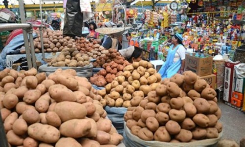 Mercado_productores