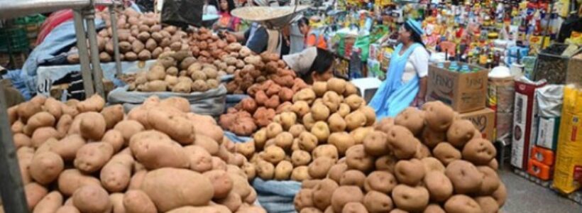 Mercado_productores