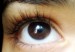 como-hacer-crecer-las-pestaas-293x300