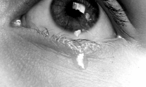 cry__cry__by_phoenix_lily