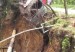 derrumbes__bella_vista210_120