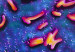 130228124855_colera_bacteria_304x171_spl