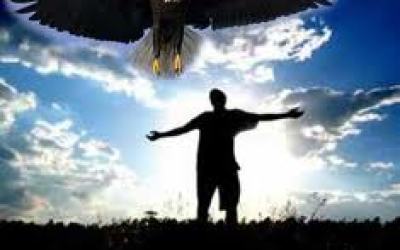 Aguila2