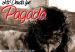 La_deuda_fue_pagada-reflexion