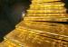 Oro_en_Barrick_Pueblo_Viejo