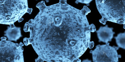 VIRUS_DESAPARECE