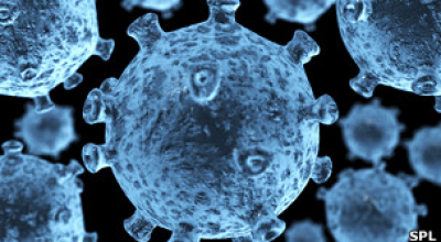 VIRUS_DESAPARECE