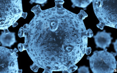 VIRUS_DESAPARECE