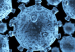VIRUS_DESAPARECE