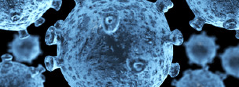 VIRUS_DESAPARECE