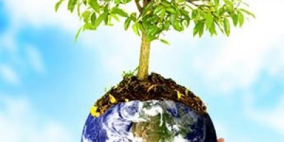 dia_mundial_de_la_foresta