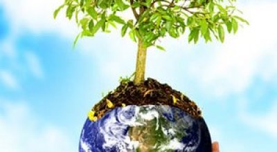 dia_mundial_de_la_foresta