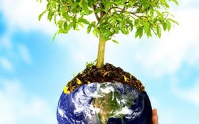 dia_mundial_de_la_foresta