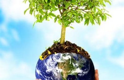 dia_mundial_de_la_foresta