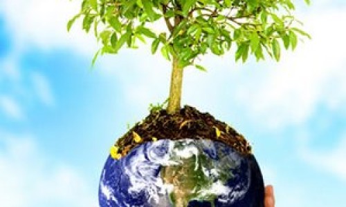 dia_mundial_de_la_foresta