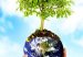dia_mundial_de_la_foresta