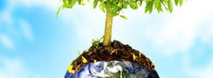 dia_mundial_de_la_foresta