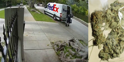 fedex-paqueteria-error-droga