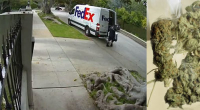 fedex-paqueteria-error-droga