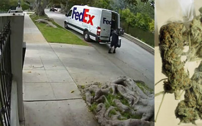 fedex-paqueteria-error-droga