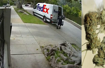 fedex-paqueteria-error-droga