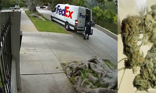 fedex-paqueteria-error-droga