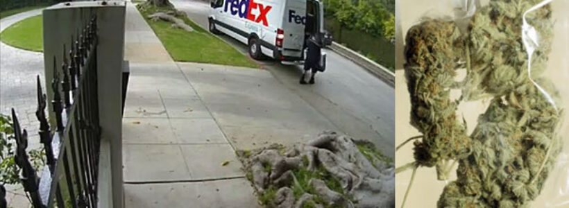 fedex-paqueteria-error-droga