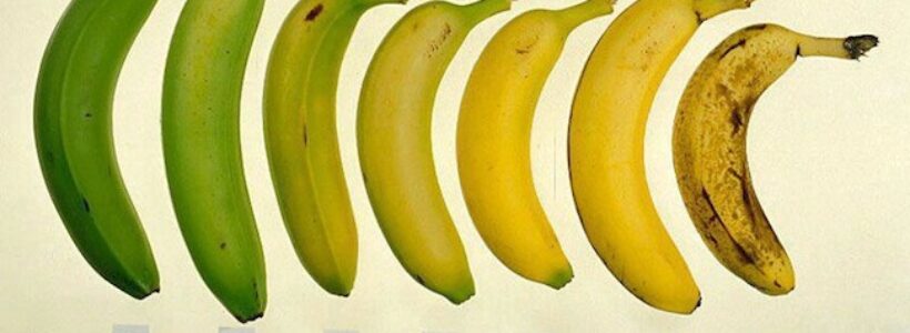 la_bananas_negra_en_frio