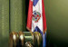 portada_revista_no17