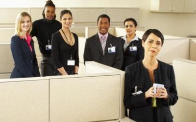 trabajo__sin_calumnias