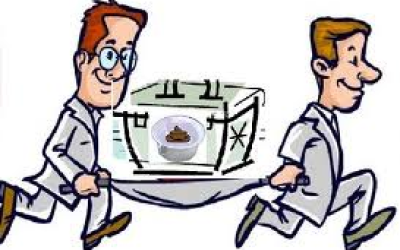 transplante-fecal