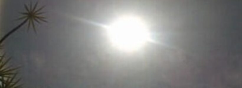 1A6D5656-136A-46B1-9917-3DDA781FE844.jpg__294__440__CROPz0x294y440