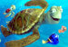 425.nemo.lc.110111